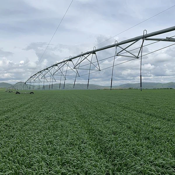 Week 2: Commercial & Agricultural Energy Users — Crushing the Myth of the “Solar Penalty”
